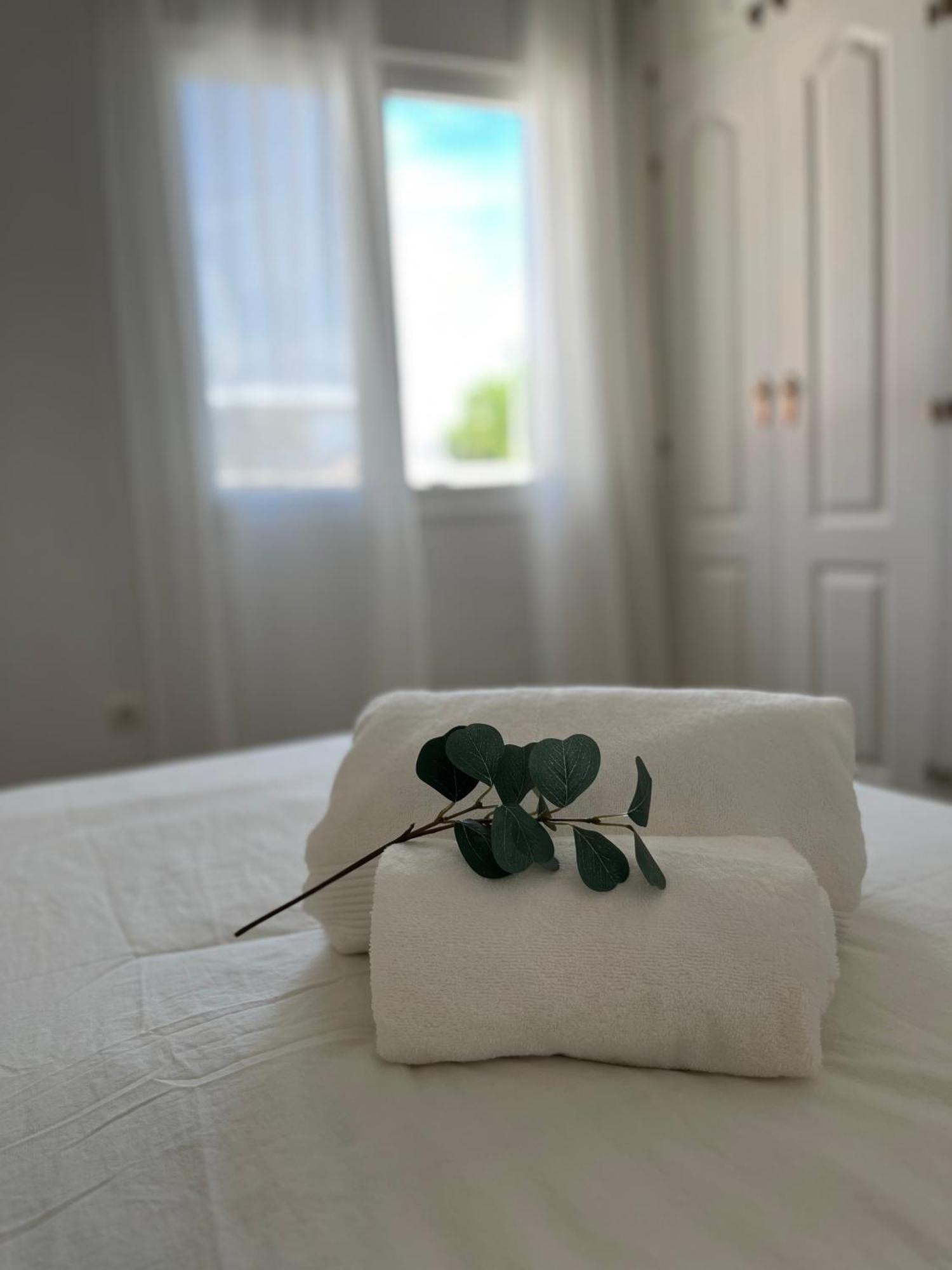 Malaga Prime Location - Stylish Apartment With Free Wifi, Free Parking, Steps From The Historic Center Dış mekan fotoğraf